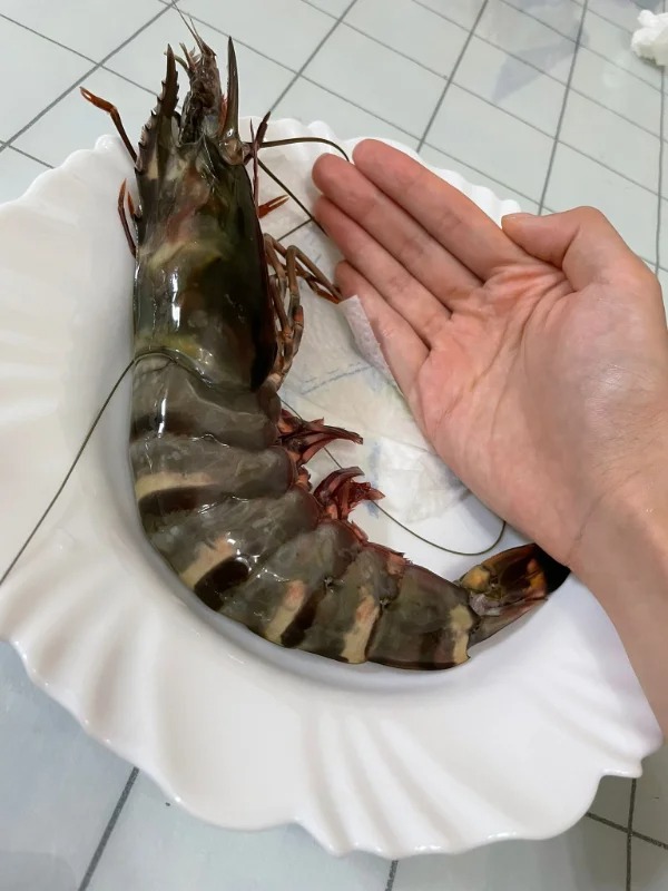 “I bought a prawn the size of a dinner plate.”