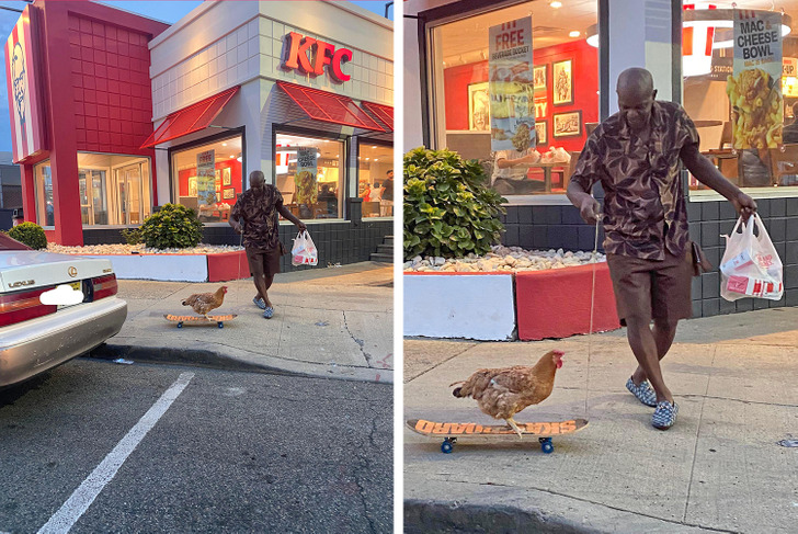 “A chicken riding a skateboard in front of KFC”