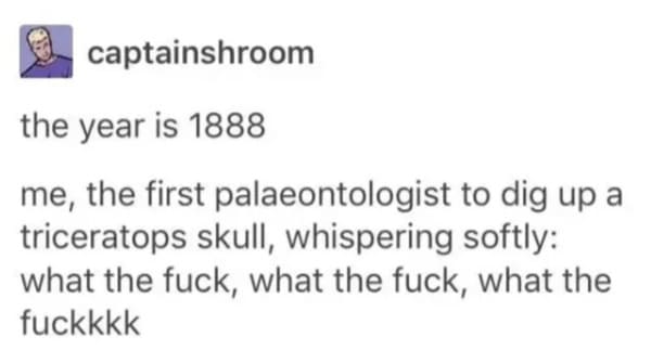 oddly specific posts - Skull - 155 captainshroom the year is 1888 me, the first palaeontologist to dig up a triceratops skull, whispering softly what the fuck, what the fuck, what the fuckkkk