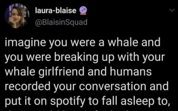 oddly specific posts - imagine you were a whale and you were breaking up - laurablaise imagine you were a whale and you were breaking up with your whale girlfriend and humans recorded your conversation and put it on spotify to fall asleep to,