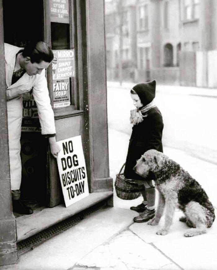 historical pictures - No Dog Biscuits Today, London, 1939