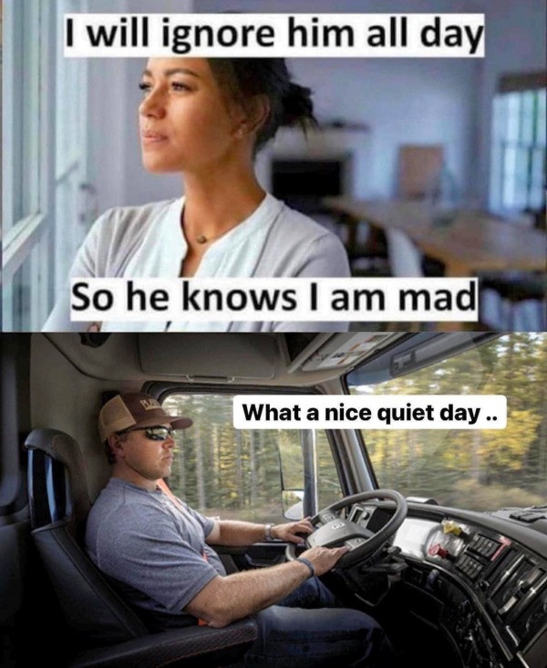 funny memes - will ignore him all day - I will ignore him all day So he knows I am mad What a nice quiet day..