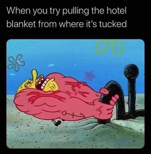funny pics - cartoon - When you try pulling the hotel blanket from where it's tucked