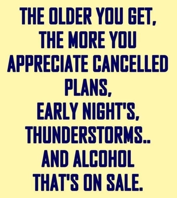 funny pics - happiness - The Older You Get. The More You Appreciate Cancelled Plans, Early Night'S, Thunderstorms.. And Alcohol That'S On Sale.