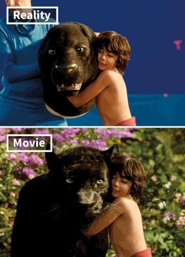 The Jungle Book