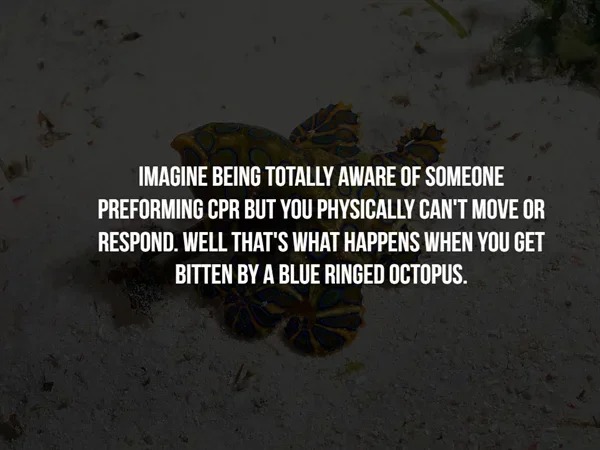 30 Creepy Facts To Freak You Out.