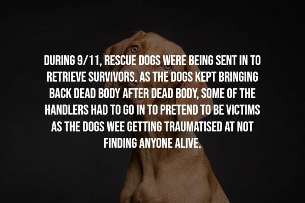 30 Creepy Facts To Freak You Out.