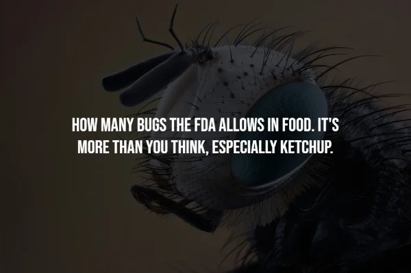 30 Creepy Facts To Freak You Out.