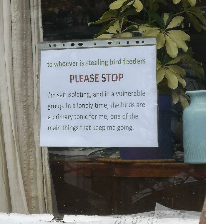 neighbors from hell - sign - to whoever is stealing bird feeders Please Stop I'm self isolating, and in a vulnerable group. In a lonely time, the birds are a primary tonic for me, one of the main things that keep me going. Us Do Hist Ston Sack Gef Sle At 