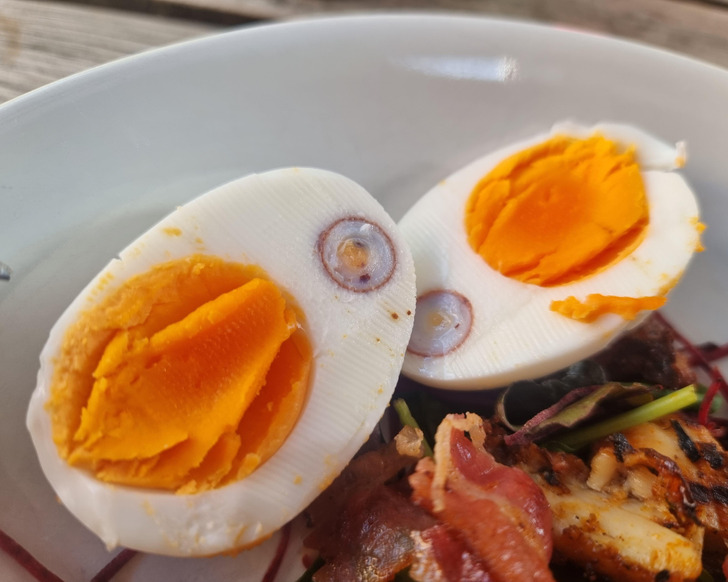 awesome finds - cool things people found - egg inside chicken egg
