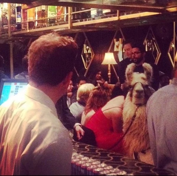 28 Crazy Photos From The Nightclub