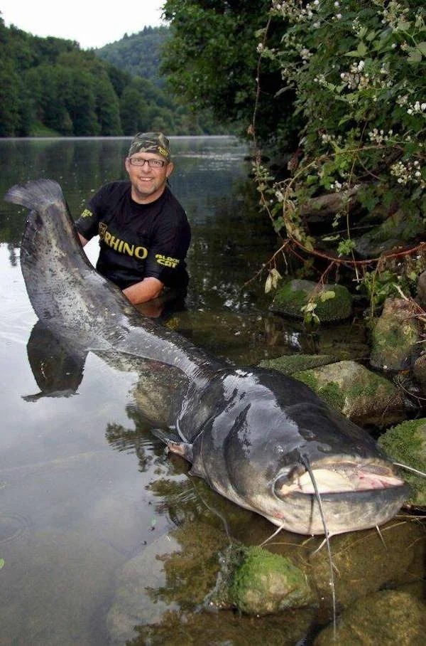 37 Things That Are Really Massive.