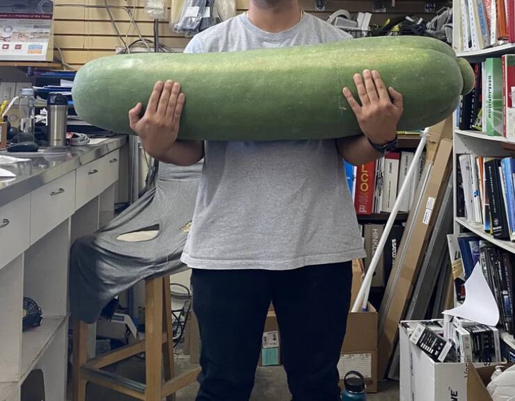 “A ’winter melon’ someone gave my boss, I’m 6’1”."