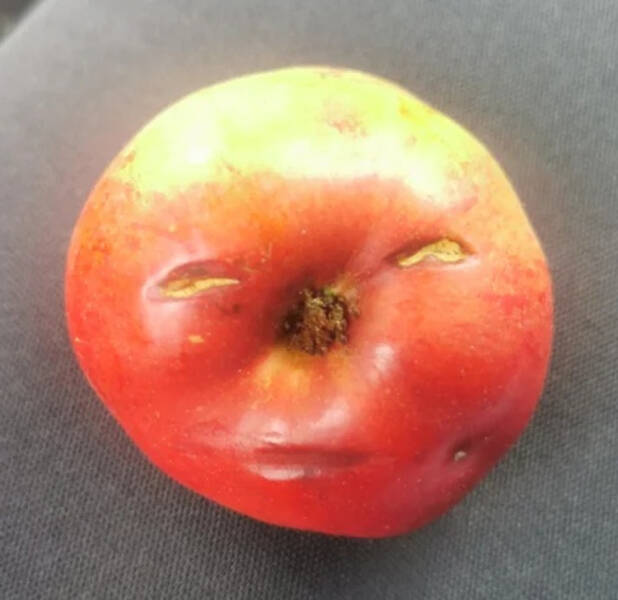 “I found an apple with a face on it.”