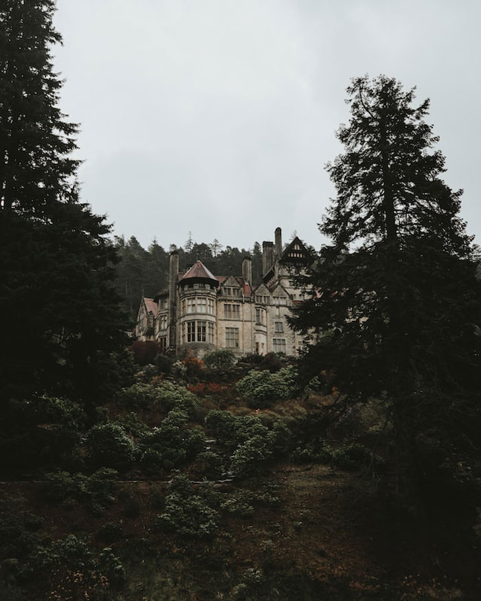 Went to a secluded mansion in Scotland for the weekend with my partner to attend a "conference" a friend suggested, that turned out to be an drug fueled orgy for corporate swingers. Us and a couple of other misinformed guests ended up barricading ourselves in a study and watching old horror movies all weekend while a bunch of randos on LSD had sex in the grand dinning hall next door.