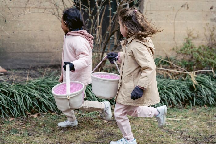 38 Myths About People's Professions.