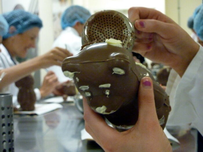 38 Myths About People's Professions.