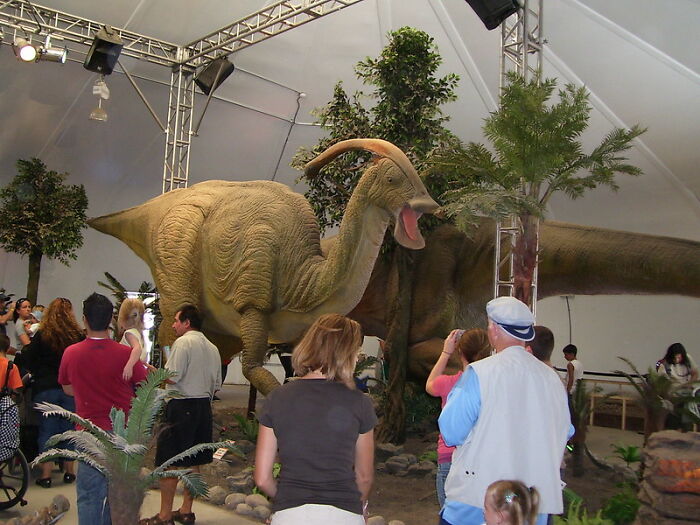 38 Myths About People's Professions.