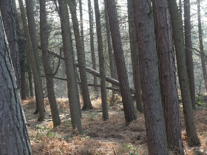 38 Myths About People's Professions.