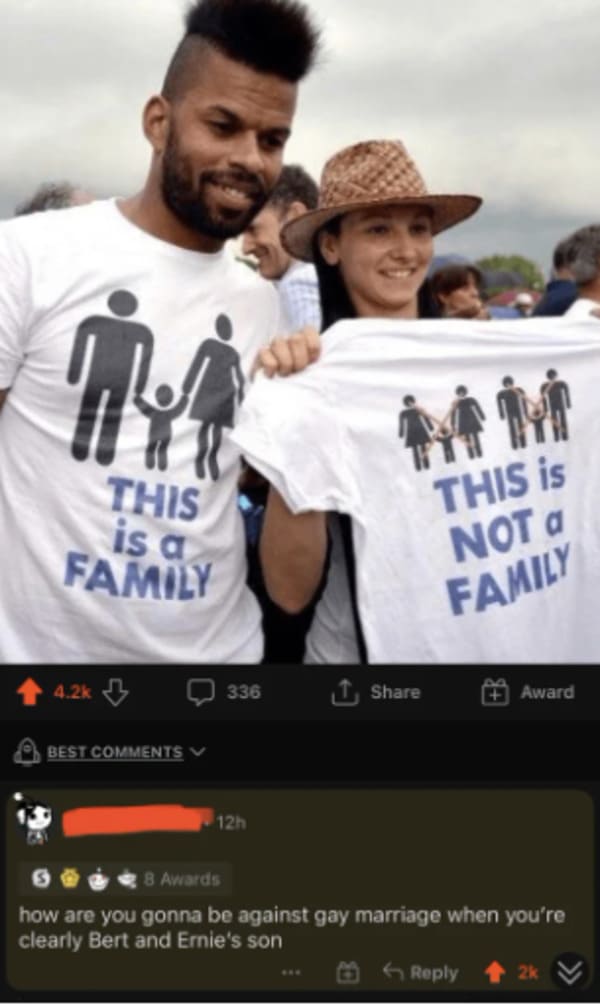 Comments that roast - not a family shirt - 14 This is a Family Best