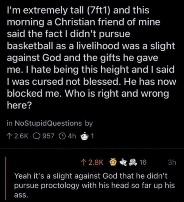 Comments that roast - screenshot - I'm extremely tall 7ft1 and this morning a Christian friend of mine said the fact I didn't pursue basketball as a livelihood was a slight against God and the gifts he gave me. I hate being this height and I said I was cu