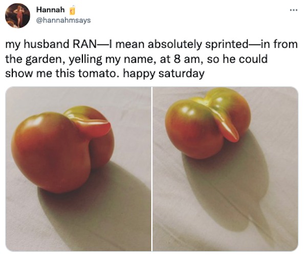 28 Funny Tweets From Twitter This Week.