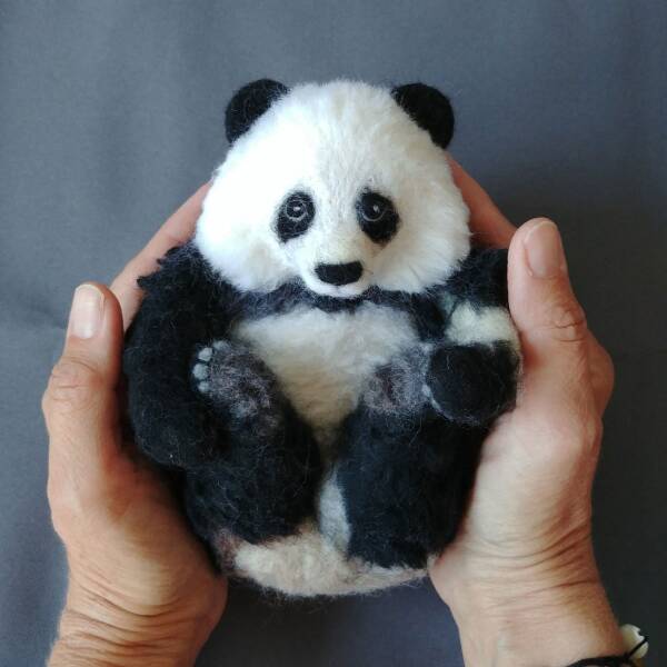 fascinating pics -  giant panda