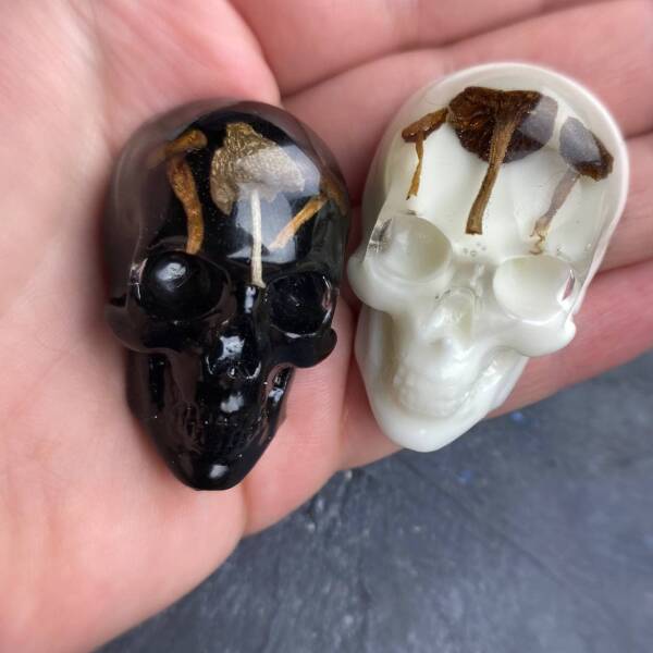 "Brooches. Mushroom skulls made of resin and toadstools"
