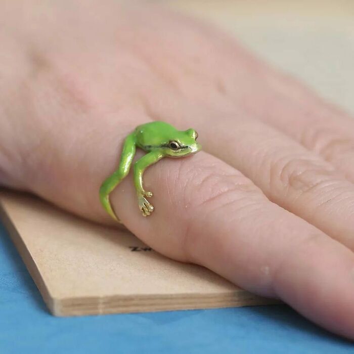 awesome desiigns - cute tree frog accessories by @nina_myway
