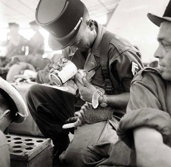 A French Soldier Feeding His Kitten, Indochina 1956