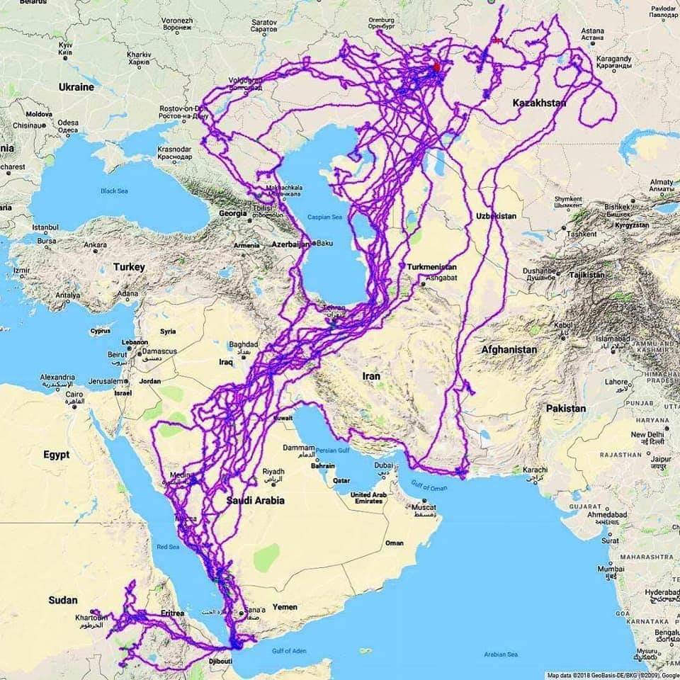 Tracking of an Eagle over a 20-year period