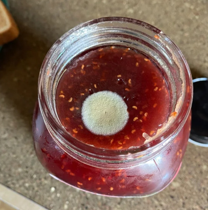 “Freshly opened can of jam has a big patch of mold. It even made the popping sound when the seal broke.”