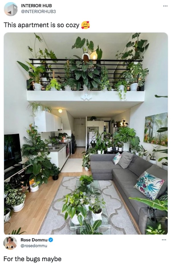 Funny comments and posts - plant room ideas - IThis apartment is so cozy Rose Dommu For the bugs maybe Erabak