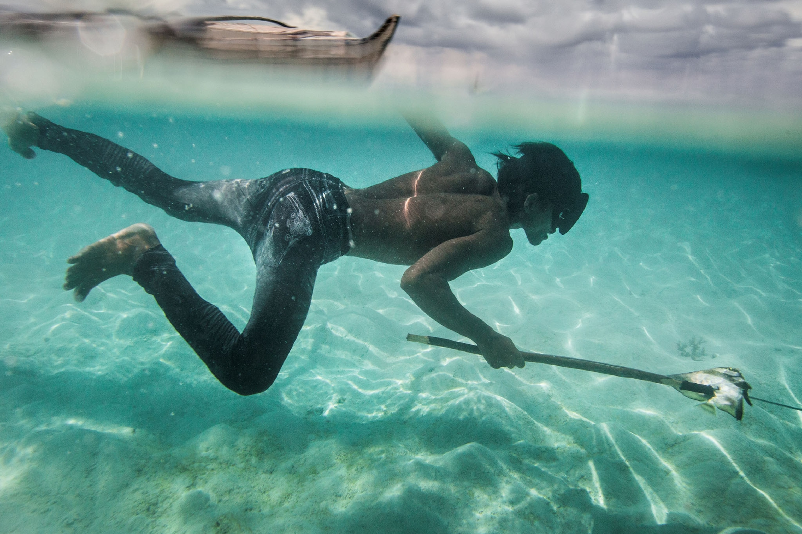 A rare mutation among the Bajau people lets them stay underwater longer: natural selection at the PDE10A gene has increased spleen size in the Bajau, providing them with a larger reservoir of oxygenated red blood cells