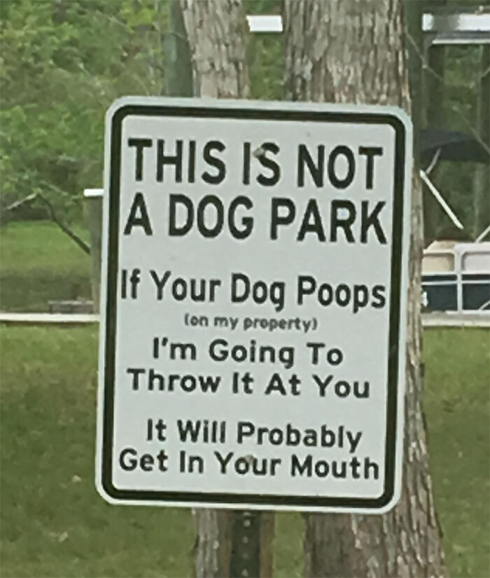 Strange threats - tree - This Is Not A Dog Park If Your Dog Poops on my property I'm Going To Throw It At You It Will Probably Get In Your Mouth
