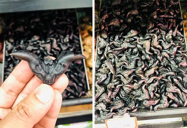 “These devil-looking things are called bat nuts and they’re edible.”