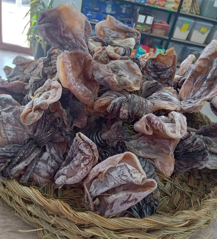 “Dried squid is a delicacy in North Africa. They look like vampire ears though.”