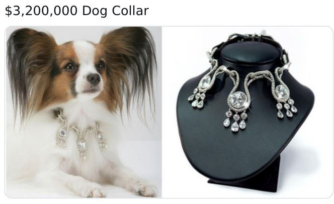 most expensive dog collar - $3,200,000 Dog Collar