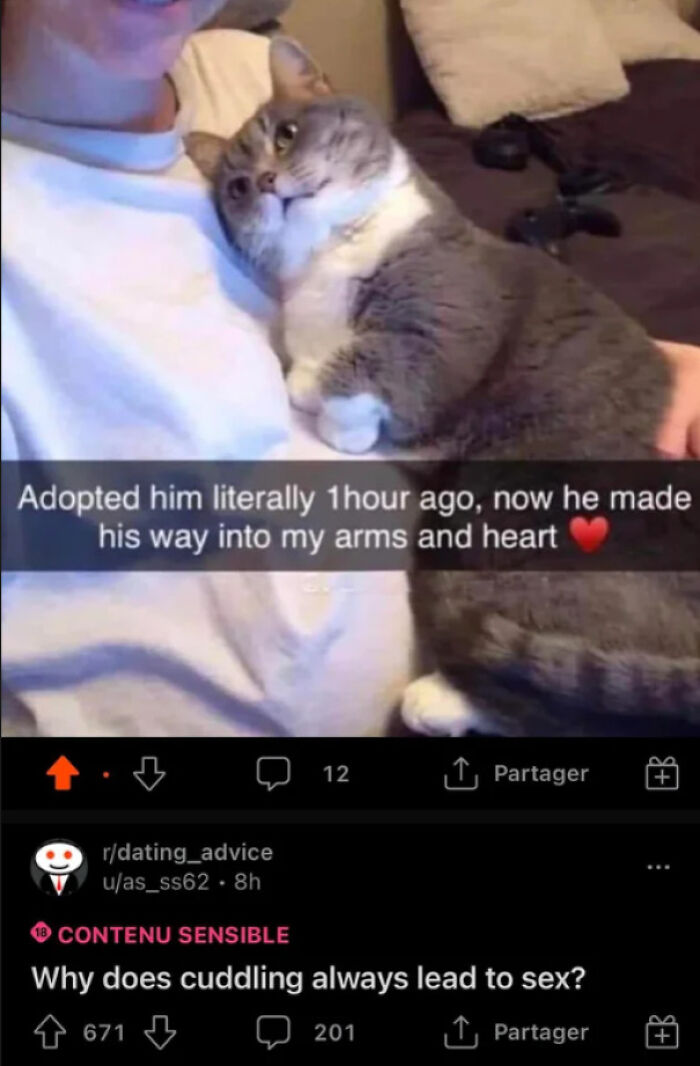 accidental comedy - photo caption - Adopted him literally 1 hour ago, now he made his way into my arms and heart rdating advice uas_ss62. 8h 12 Partager Contenu Sensible Why does cuddling always lead to sex? 671 201 Partager B B