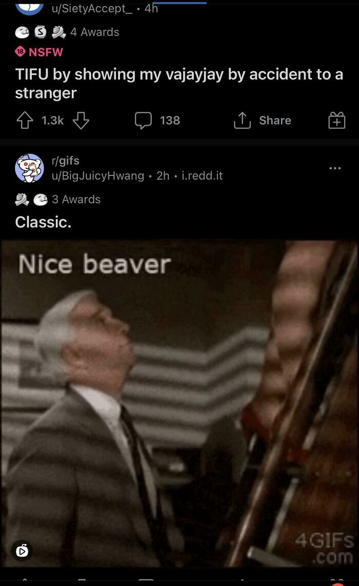 accidental comedy - naked gun nice beaver gif - uSietyAccept 4h 4 Awards 18 Nsfw Tifu by showing my vajayjay by accident to a stranger Classic. D 138 rgifs uBig JuicyHwang. 2h. i.redd.it 3 Awards Nice beaver 4 Gifs .com