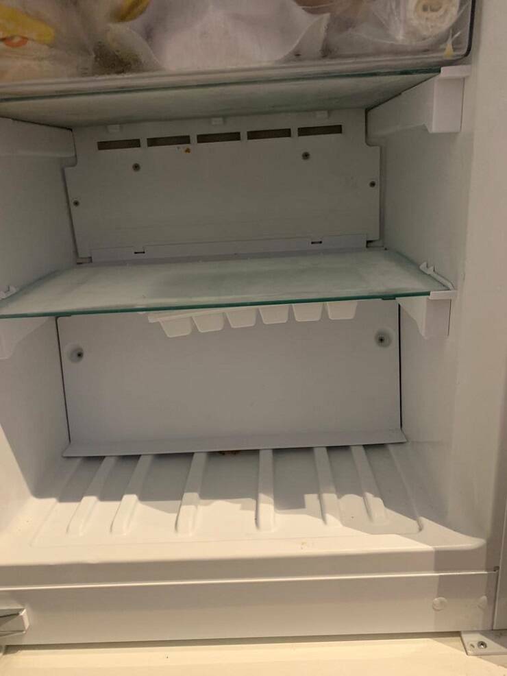 "My wife went crazy looking for the ice tray she put in the freezer this morning .. we definitely had a good laugh when we finally found where it was"