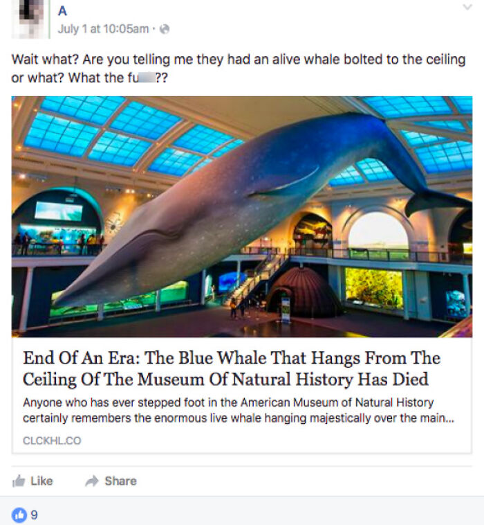 People who fell for fake news - american museum of natural history - Wait what? Are you telling me they had an alive whale bolted to the ceiling or what? What the