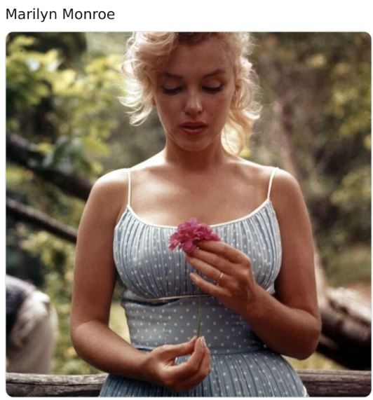 Fascinating historical pics - marilyn monroe cute - Marilyn Monroe