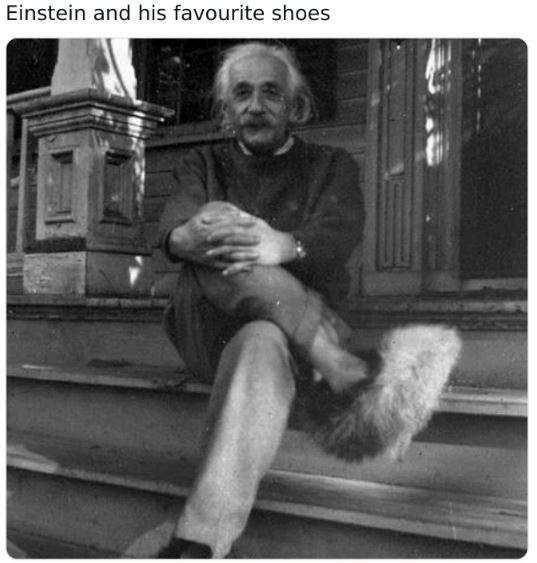 Fascinating historical pics - albert einstein in fuzzy slippers - Einstein and his favourite shoes