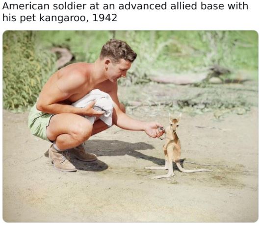 Fascinating historical pics - eddie leonski - American soldier at an advanced allied base with his pet kangaroo, 1942