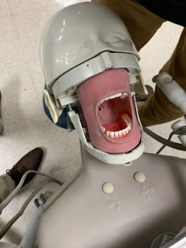 awesome things people wanted to share - Dentist