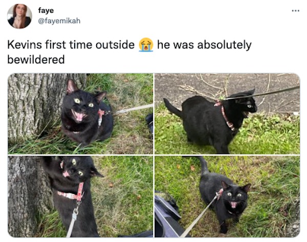 27 Funny Tweets From Twitter This Week.