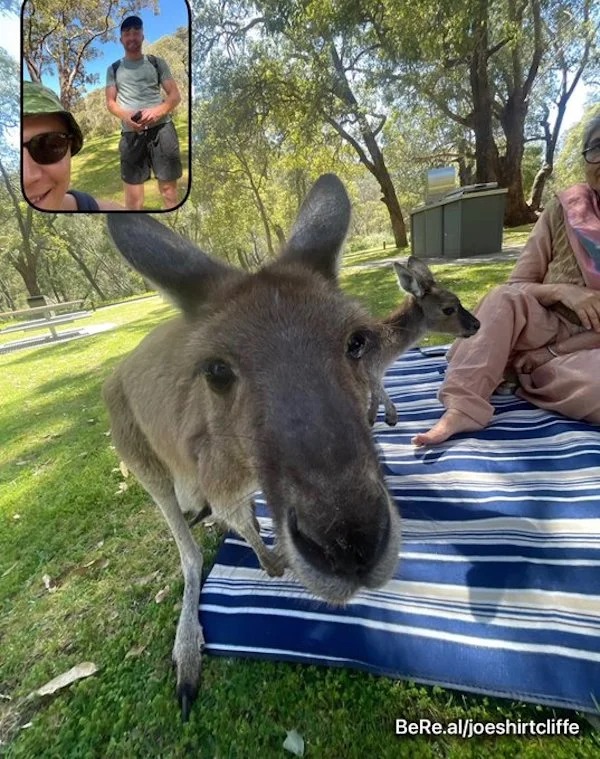 wtf BeReal images - kangaroo - BeRe.aljoeshirtcliffe