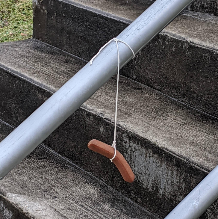 Fascinating photos - hot dog on a string