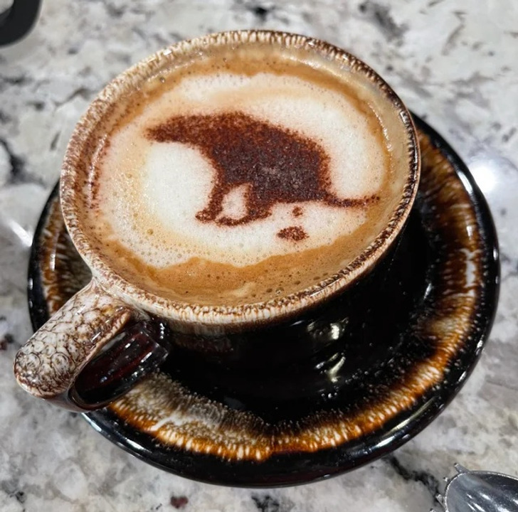 Fascinating photos - dog pooping latte art